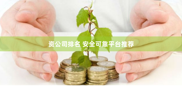 资公司排名 安全可靠平台推荐